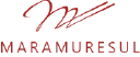 MAMA logo