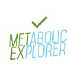 METEX logo