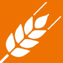 Creditsafe Business Index Report
