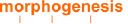 Morphogenesis
