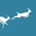 Danika Service Checks