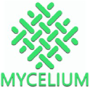 Mycelium