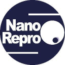 NN6 logo