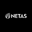 NETAS logo