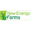 New Energy Farms (NEF)