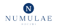 YNUM logo