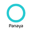 Panaya logo