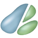 The Motorists Organisation