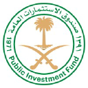 Saudi Arabia's Public Investment Fund