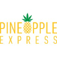 PNXP logo