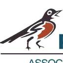 Stringer Management Inc