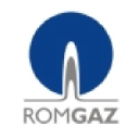 RZ8G logo