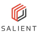 Salient Systems logo