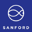 SAN logo