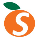 STSA logo