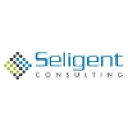 Seligent Consulting Private Limited