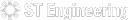 STEG19 logo