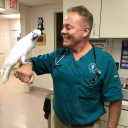 North Memorial Animal Hospital