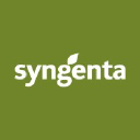 Syngenta India