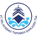 TAMU logo