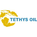 TETYS logo