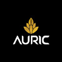 AURIC