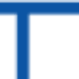TIG logo