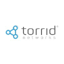Torrid Networks
