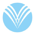 VA20 logo