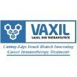VXL logo