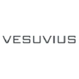 VSVS logo