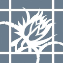 SSFM International