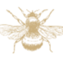 Azavista