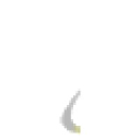 Insignal