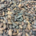 The Flexitallic Group