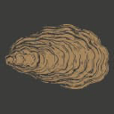 ATLANTIC OYSTERS