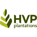 hqplantations.com.au