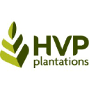 hvp.com.au