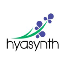 hyasynthbio.com