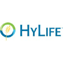 hylife.com