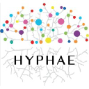 hyphae.fr
