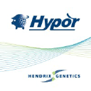 hypor.com