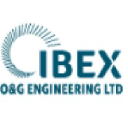 Ibex O&G Engineering