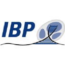 ibp.cz