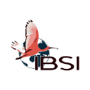 ibsi.fr