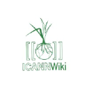 icannwiki.com