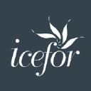 icefor.com