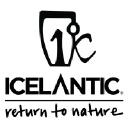 Icelantic Skis