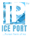 iceport.in