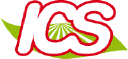 INTERNATIONALE DE COMMERCE ET DE SERVICE